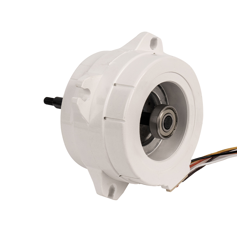 YYS80-4 plastic single-phase asynchronous motor